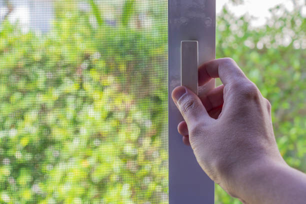 como ahuyentar moscas al aire libre