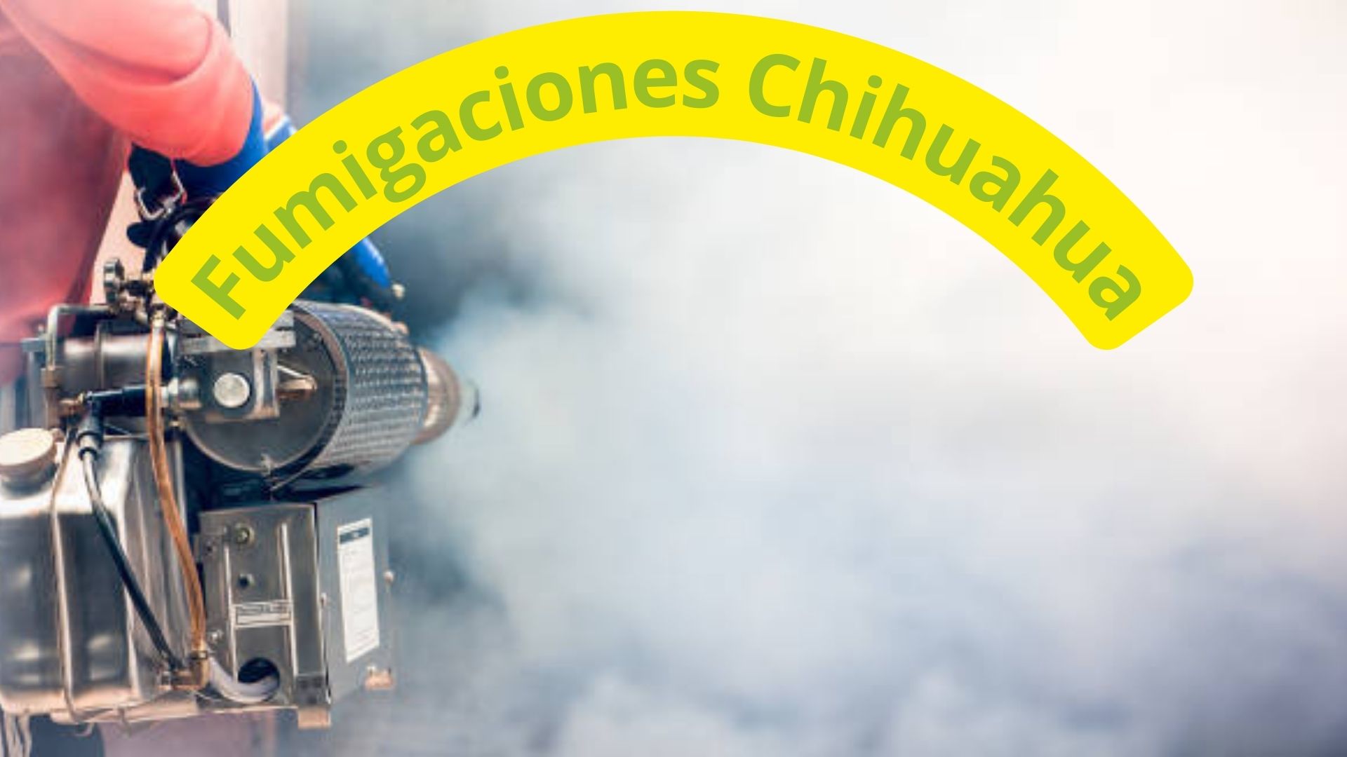fumigaciones en Chihuahua