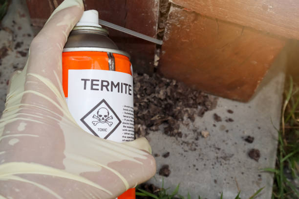 veneno para termitas de concreto